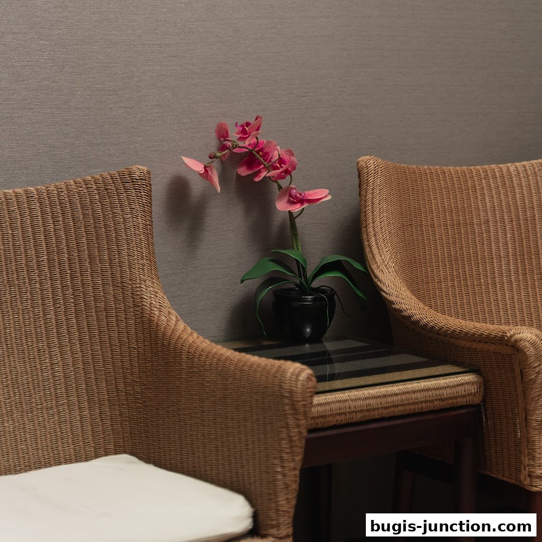 Two wicker chairs flank a small table with a potted orchid.