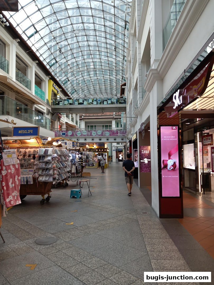 A view of a shopping mall walkway with various shops and a glass ceiling.