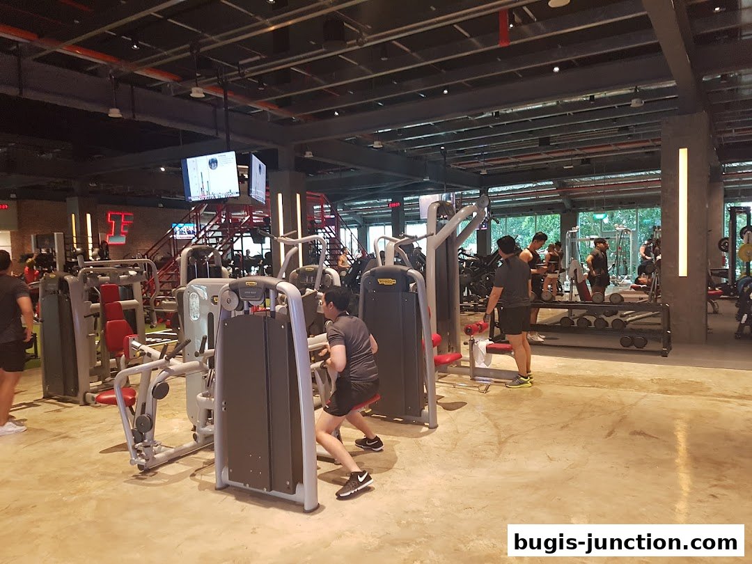 People working out on various gym equipment inside a modern fitness center.