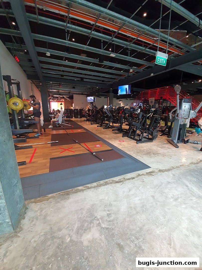 Interior view of a modern gym with various weight machines and free weights.
