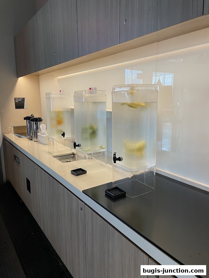 Infused water dispensers with fruit and herbs are lined up on a counter.