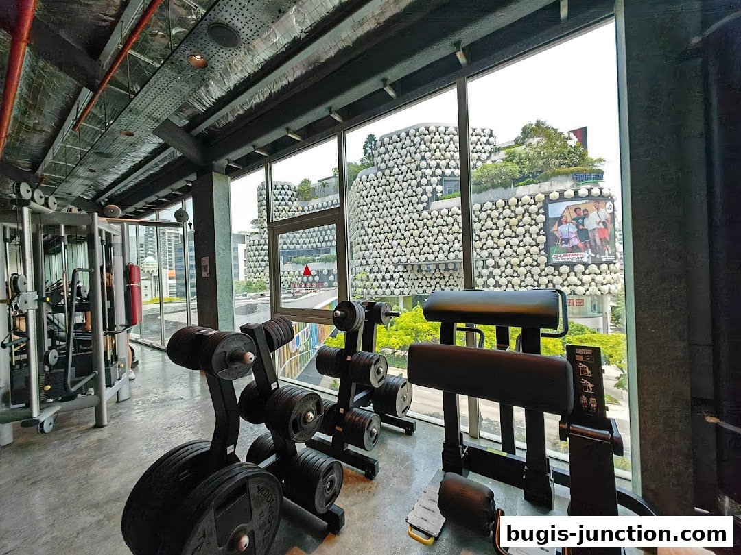Interior view of a modern gym with weight racks and exercise machines, overlooking city buildings.