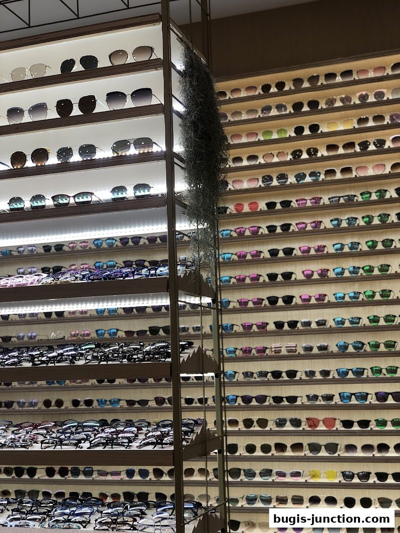 A well-lit display of numerous sunglasses and eyeglasses on shelves.
