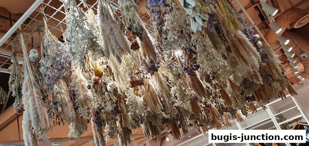 A ceiling adorned with numerous dried floral arrangements and pampas grass.