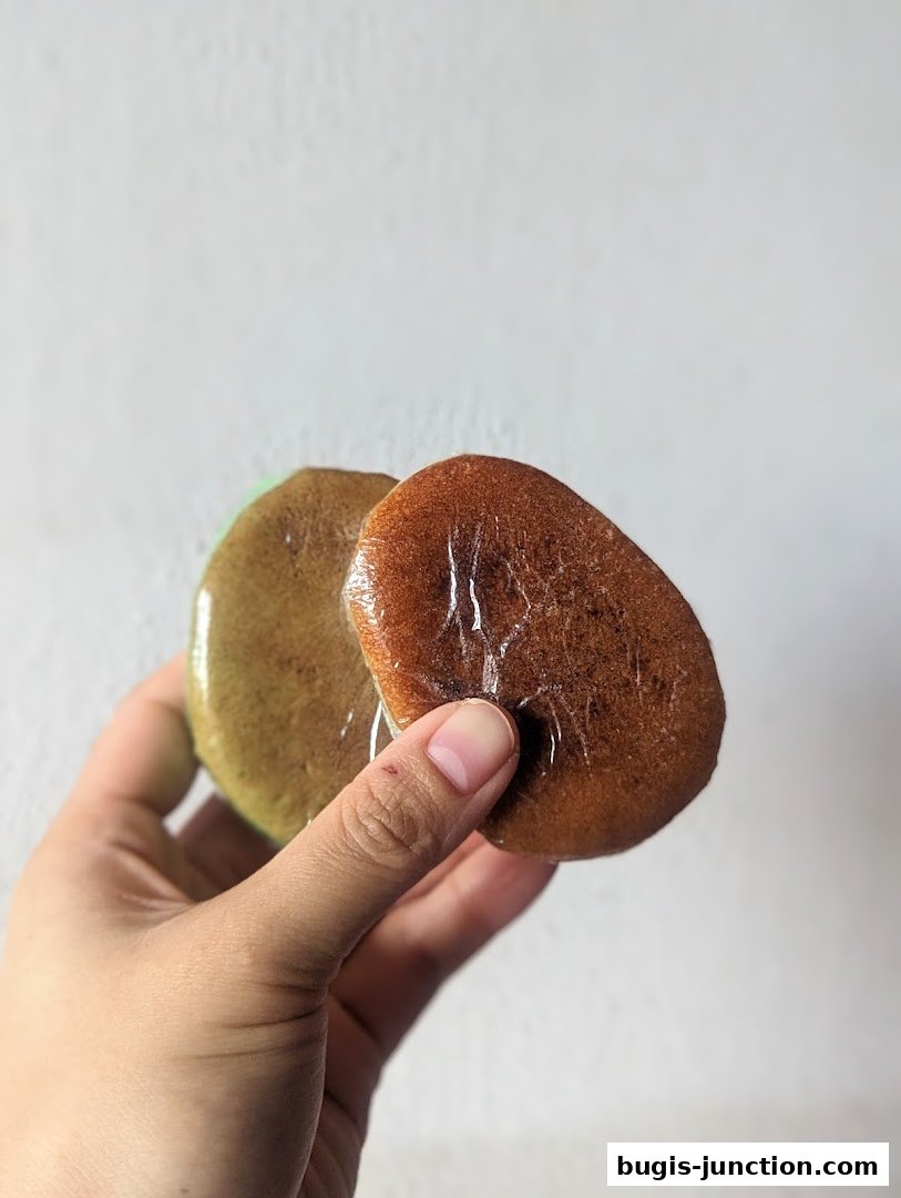 A hand holds two individually wrapped pastries, one green and one brown.