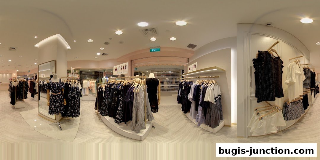 Interior view of a clothing store with racks of dresses and tops on display.
