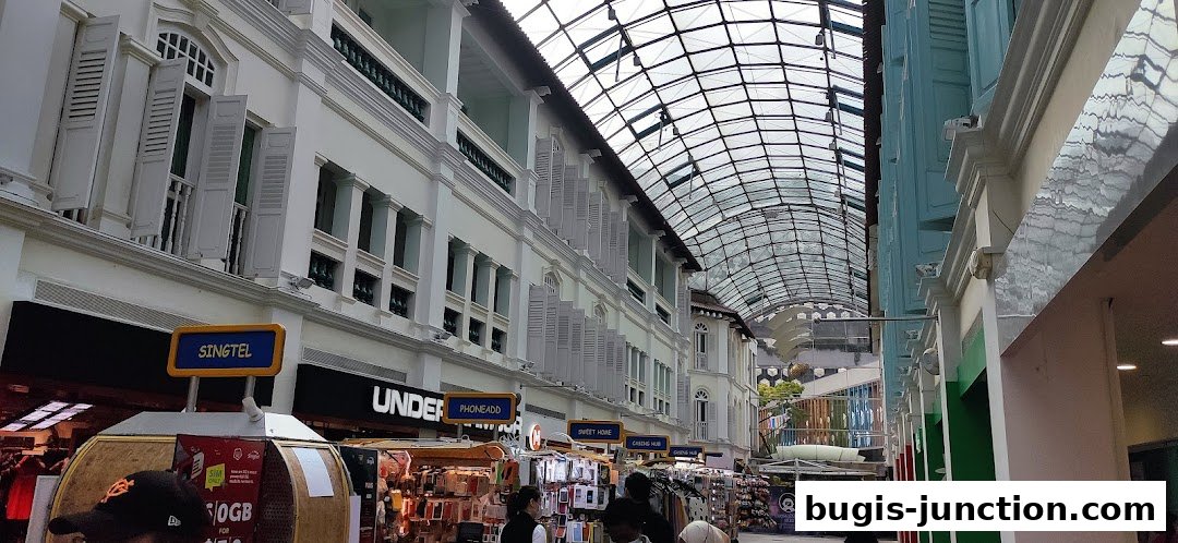 A covered walkway with shops on either side, featuring a distinctive glass roof.