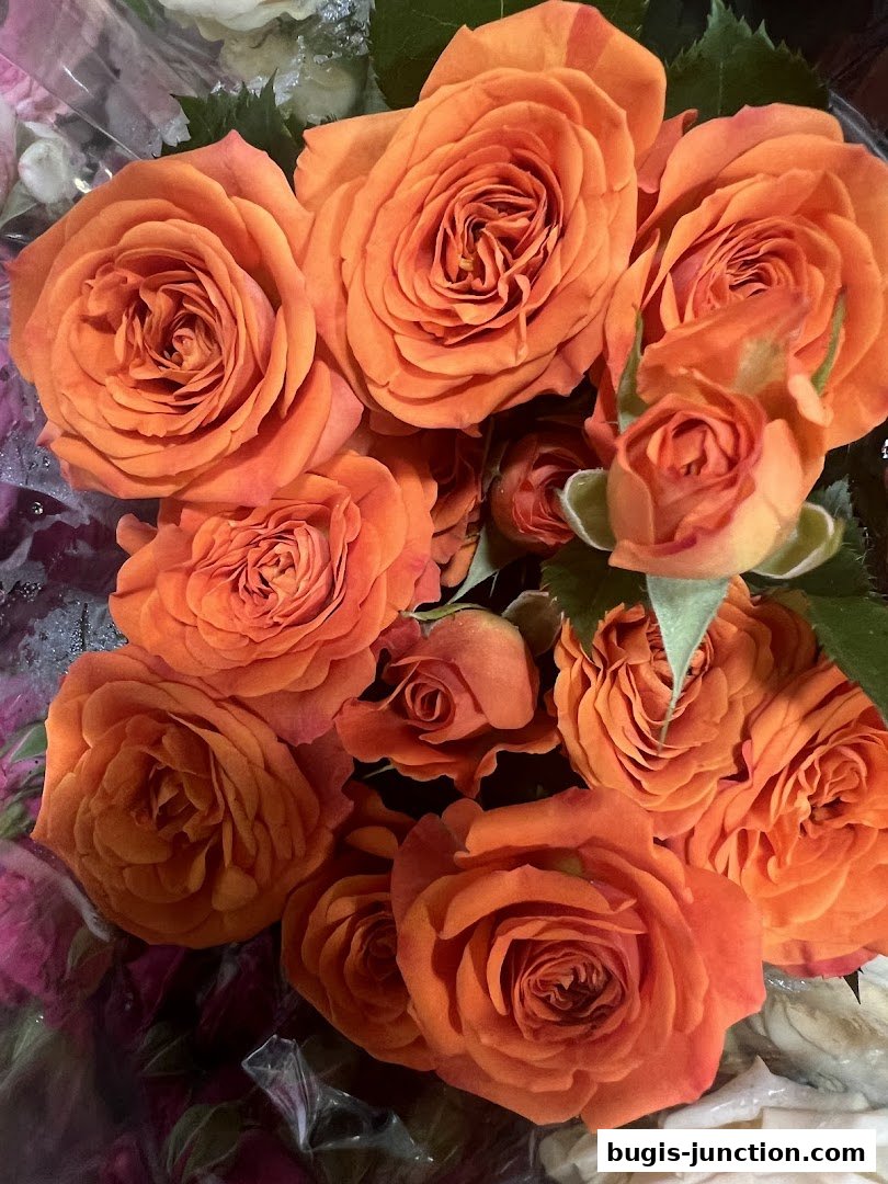 A close-up view of a bouquet of vibrant orange roses with green leaves.