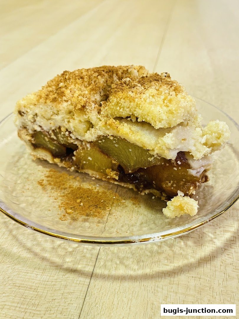 A delicious slice of apple strudel with a crumbly topping and cinnamon dusting.