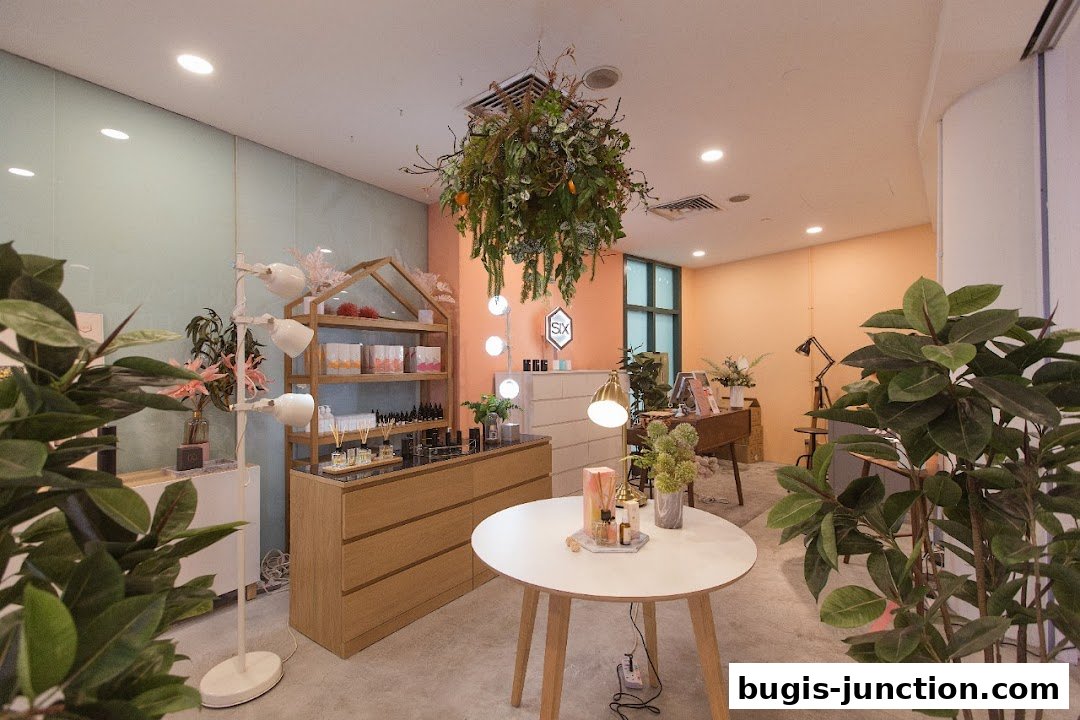 Interior of a modern retail shop with shelves displaying products and decorative plants.