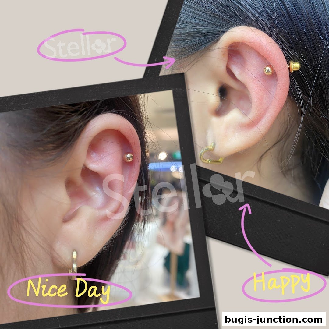 Close-up shots of ears with various piercings and jewelry, showcasing Stellar's offerings.