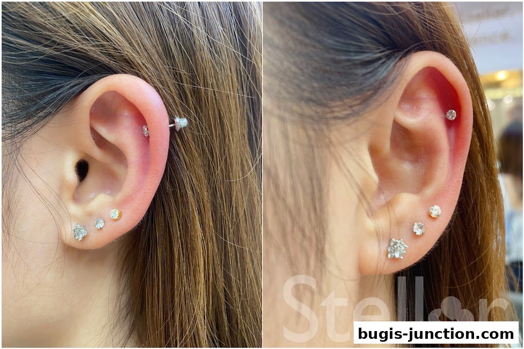 Close-up of ears showcasing various stylish piercings and jewelry from Stellar.
