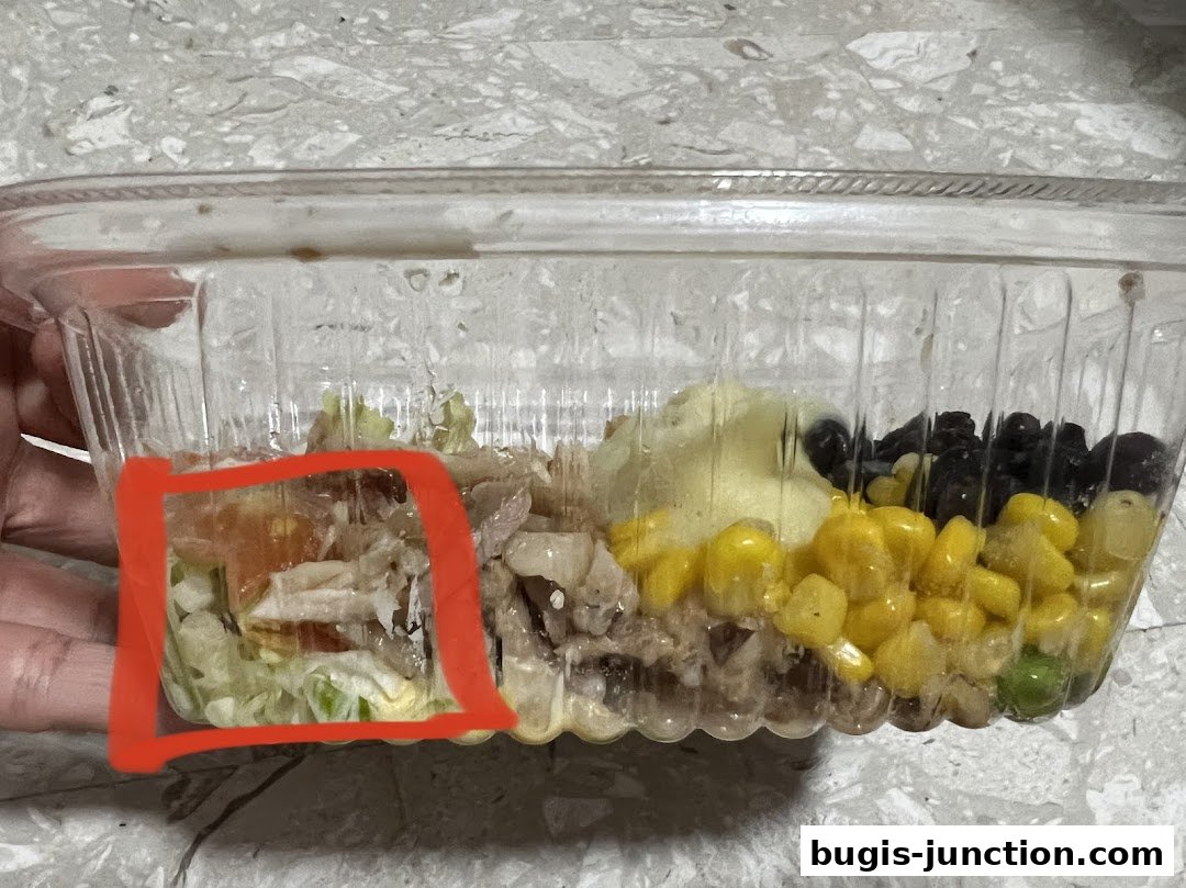 A clear plastic container filled with a colorful salad, featuring chicken, corn, beans, and mashed potatoes.