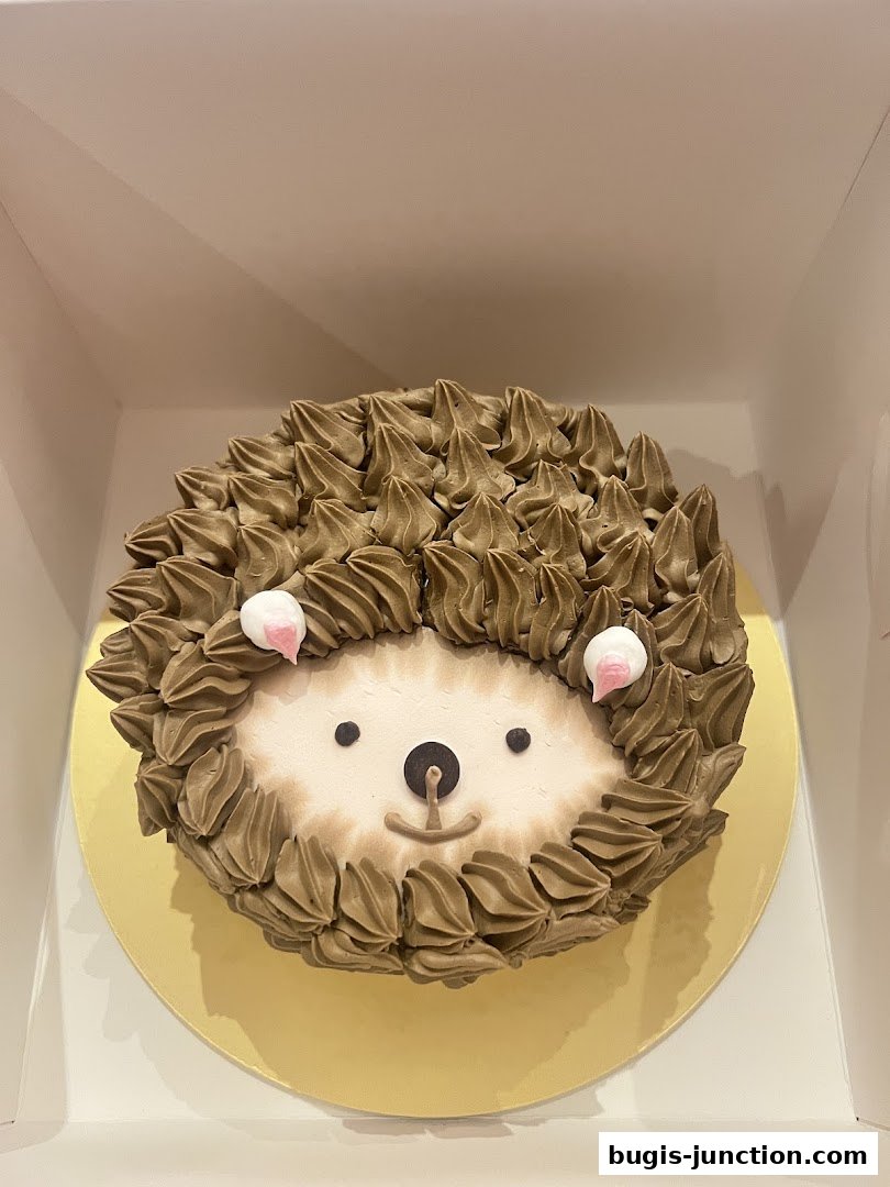 A cute hedgehog-shaped cake with chocolate frosting and a white face, presented in a box.